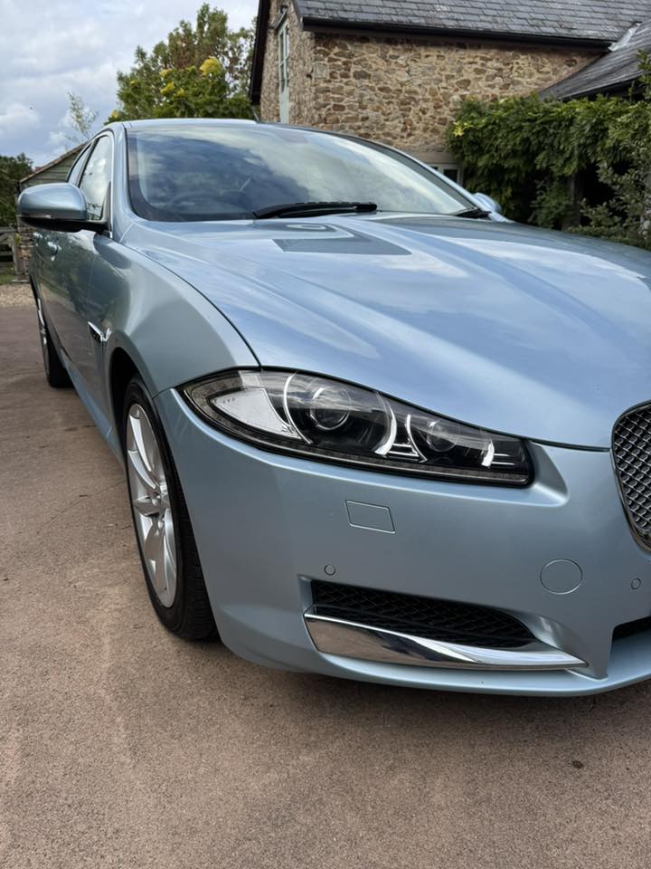 Jaguar Detail